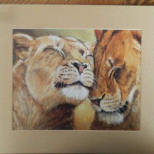 MATTED 11 X 14 LIMITED EDITION PRINT OF LIONS